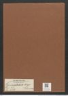 Homoeocladia biceps Schum. (de-Toni-Nr.: Genus 48, Species 2186) Zeichnungen Sammlung Grunow Mappe 02401 (Herbarium_W_Grunow_drawings_Folder_02401)